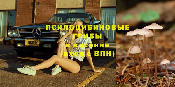 амф Абдулино