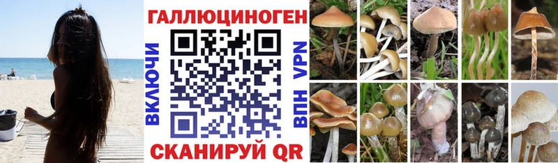 Галлюциногенные грибы Magic Shrooms  Трубчевск 